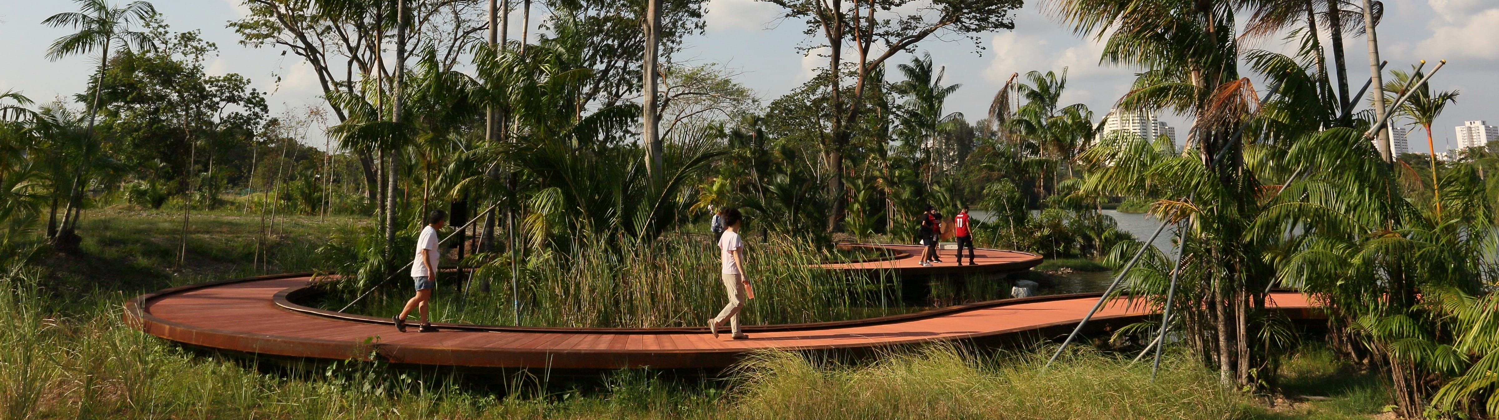 Three people walking on a curvy wooden pathway surrounded by lush greenery and trees.